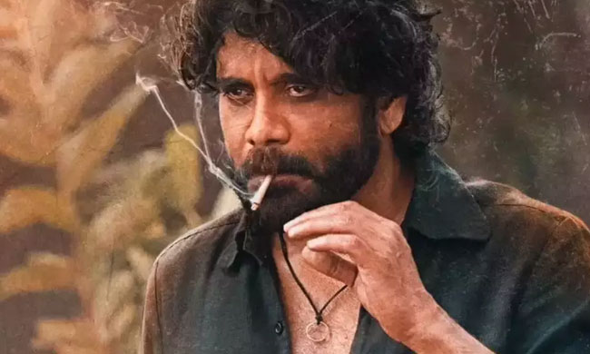 నా సామిరంగ బాక్సాఫీస్.. 2వ రోజు ఇంకా ఎక్కువగా.. | Naa Saami Ranga Box ...