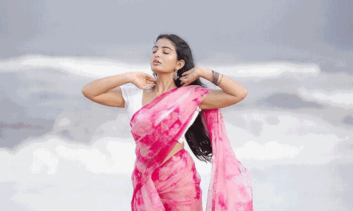 Ananya Steals Hearts In A Saree