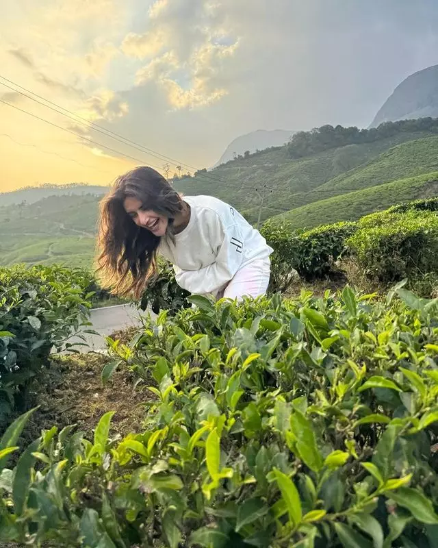 Stunning Sree Leela Chilling In The Hills!