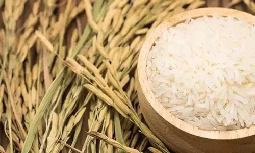 మోడీ గ్రాఫ్‌ను త‌గ్గిస్తాం... ఎలా గెలుస్తారో చూస్తాం:  అన్న‌దాత‌ల ఆగ్ర‌హం