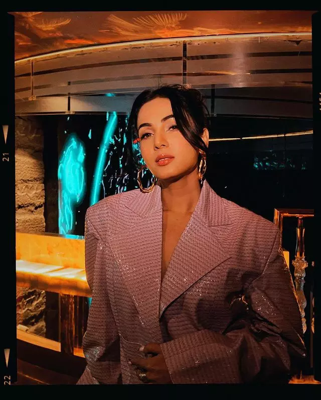 Sizzling Sonals Stunning Pictures