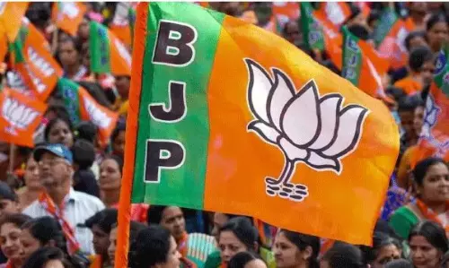 పవన్ కి బీజేపీ  ఇచ్చిన సలహా ఇదే...!?