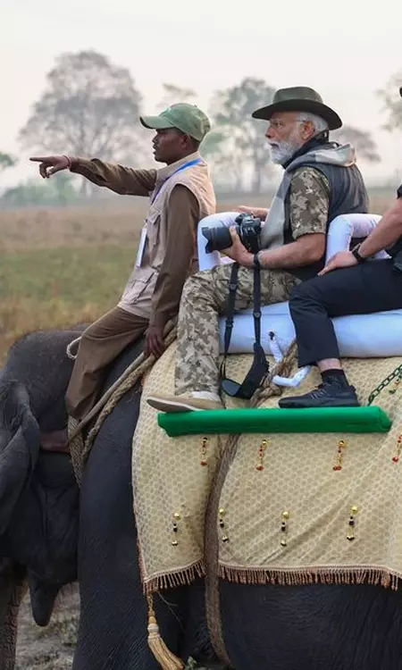 PM Narendra Modi Takes Jeep Safari, Explores National Park!