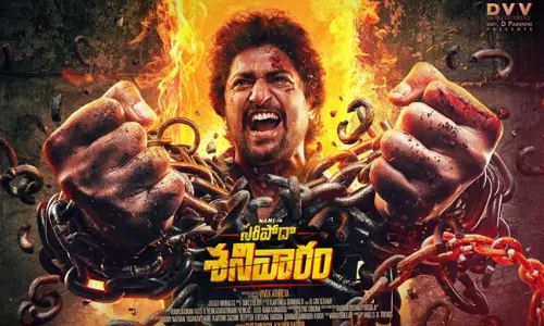 సరిపోదా శనివారం బడ్జెట్.. ఇది టూ మచ్?