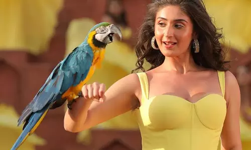 Dhvani Bhanushalis Fun and Stylish Snaps