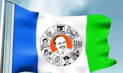 వివేకా హత్య కేసు : వైసీపీ కోర్టుకు వెళ్తుందా...!?