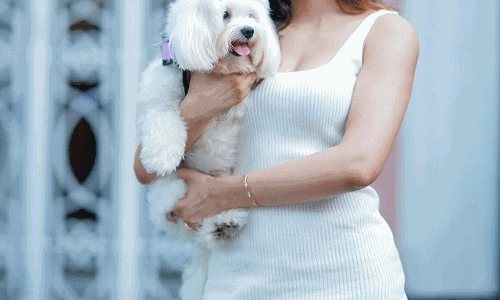 Sakshi Maliks White Dress, Puppy Cuddles, and More!