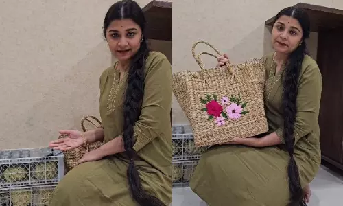 సీతాఫ‌లాల‌తో  ఫ్యాన్స్ ని ఇలా కూల్ చేస్తున్నారా?