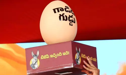 రేవంత్ గాడిదగుడ్డు కలకలం రేవంత్ గాడిదగుడ్డు కలకలం