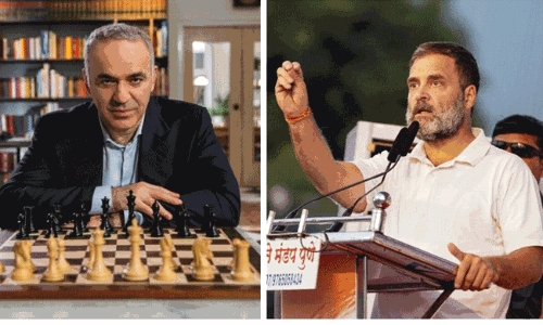 రాయ్ బరేలీలో ముందు గెలవండి.. రాహుల్ కు చెస్ దిగ్గజం పంచ్