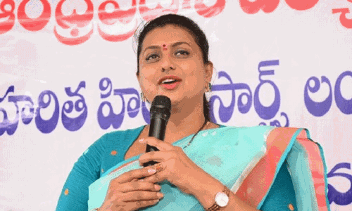 వైసీపీ ఫైర్‌ బ్రాండ్‌ ఇలాగయితే గట్టెక్కెదెలా?