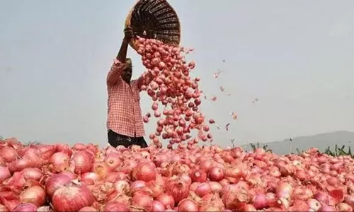 అక్కడ ఉల్లి దెబ్బ తగిలేది ఎవరికో ?!
