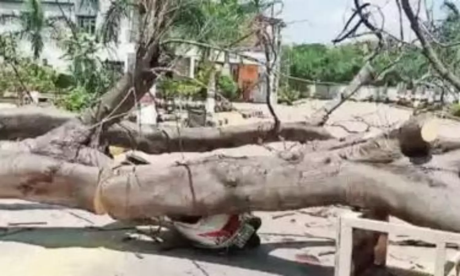 విధి విచిత్రం అంటే ఇదే.. మాన మీద పడి ప్రాణం తీసింది