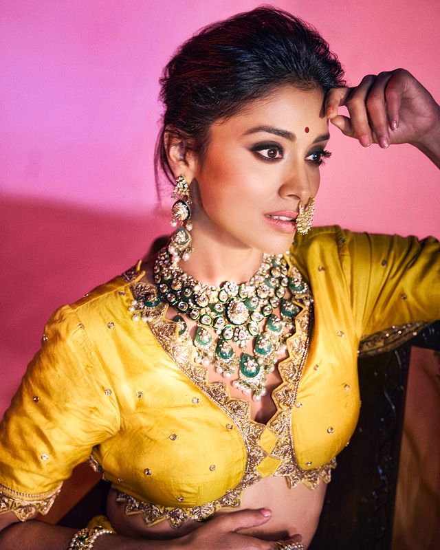 Shriya Saran Looks Beautiful in Saree