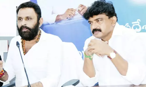 ఈ నానీల బాధ వర్ణణాతీతం!