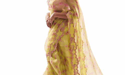 Hebah Patel Dazzles in Saree