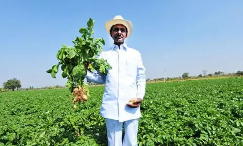 పొలం పనులతో కేసీఆర్ బిజీ బిజీ