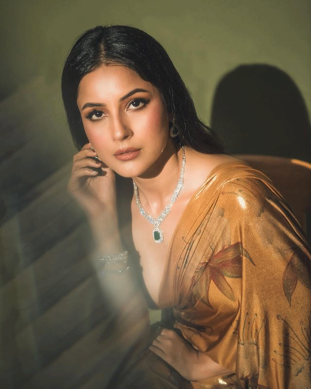 Internet Abuzz with Shehnaaz Gills Stunning Outfit