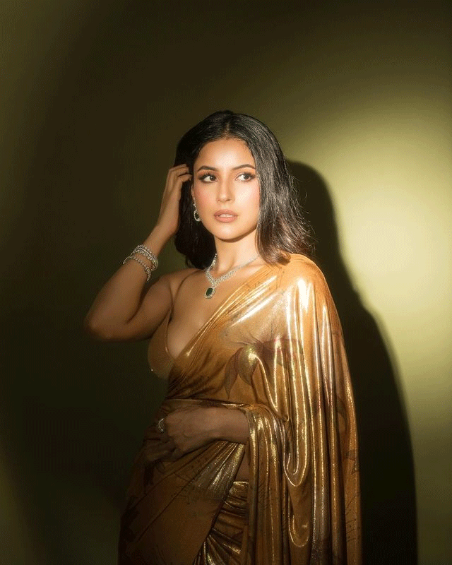 Internet Abuzz with Shehnaaz Gills Stunning Outfit