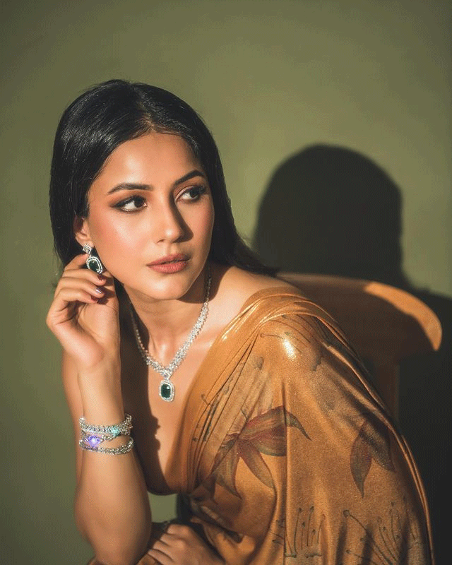 Internet Abuzz with Shehnaaz Gills Stunning Outfit