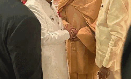 Pawan And Chandrababu Attends Anant Ambani Wedding