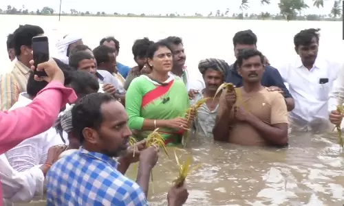 అన్న‌కు కౌంట‌ర్‌.. చెల్లి వర‌ద నిర‌స‌న‌:  ప‌రిశీల‌కుల మాట‌