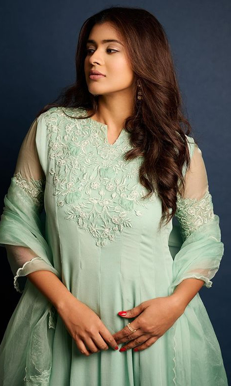 Hebah Patel’s Dress Will Make You Swoon Hebah Patel’s Dress Will Make You Swoon