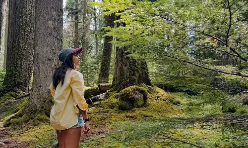 Pooja Hegdes Jungle Adventure: A Must-See!