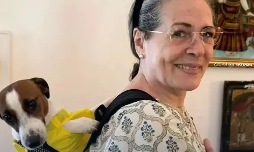 ఆ శునకం సోనియమ్మకు అంత ఇష్టమట