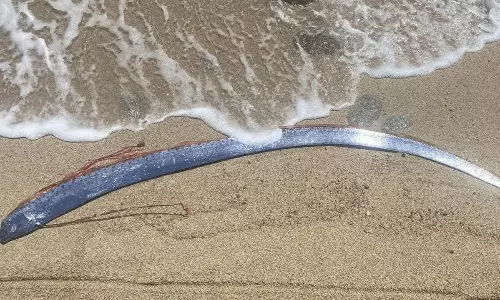 కాలిఫోర్నియా ఒడ్డున కలకలం రేపుతున్న డూమ్స్‌డే చేప..