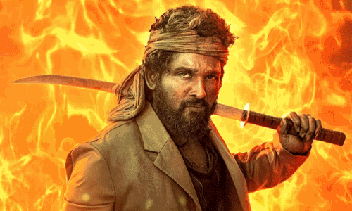 పుష్ప ఫ్రాంచైజ్.. పరిస్థితి ఎలా ఉందంటే..