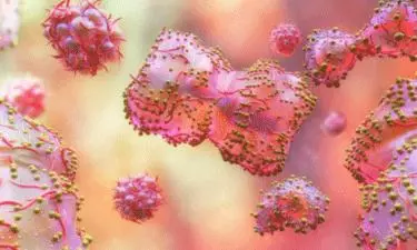 Mpox Virus Clade-2 Confirmed in India: Health Ministry Issues Advisory