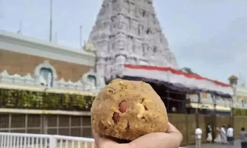 నెయ్యి కారుతున్న వైసీపీ!