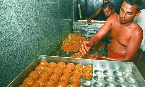 లడ్డూ రగడ.. ప్రముఖ పీఠాధిపతులు ఏమంటున్నారు?