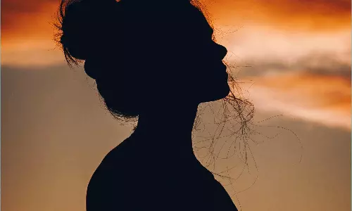 తెలుగు తెర మీద మరో బాలీవుడ్ అందం..!