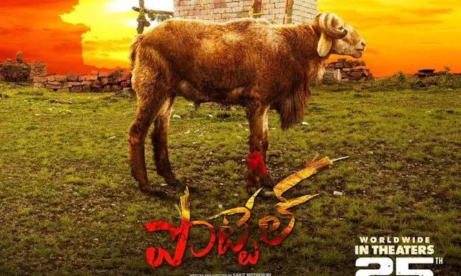 పొట్టేల్ని పట్టిన మైత్రి
