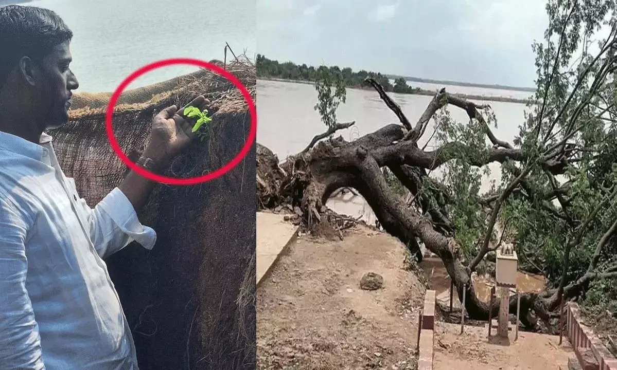 సినిమా చెట్టుకు చిగుర్లు..సంతోషంలో `కుమార దేవం`!
