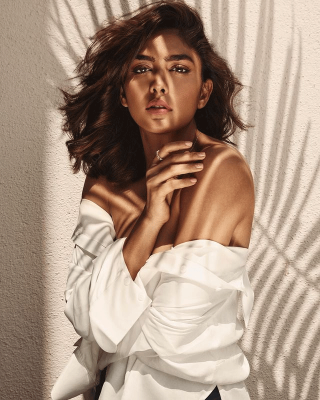 Mrunal Thakur Celebrates Brothers Birthday in Chicago