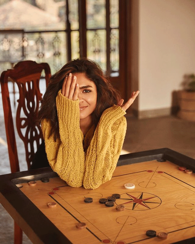 Mrunal Thakur Celebrates Brothers Birthday in Chicago Mrunal Thakur Celebrates Brothers Birthday in Chicago