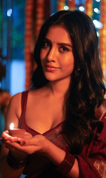 Celebrities celebrate diwali in style