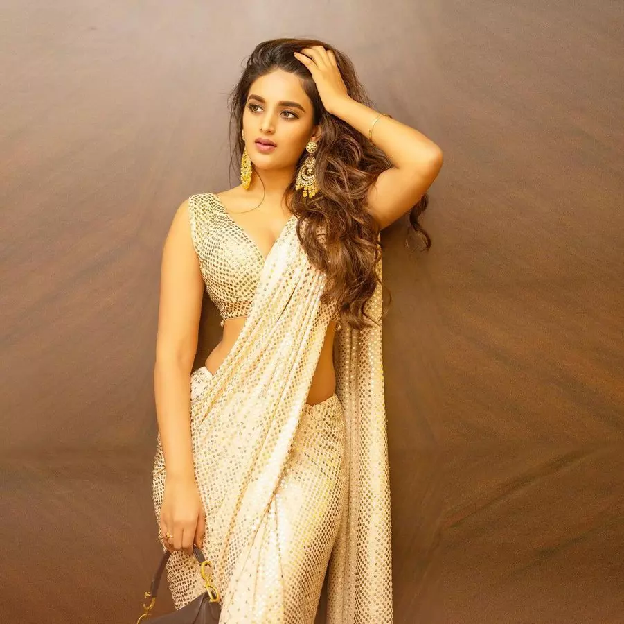 Niddhiagarwal Adorable Clicks Trending Niddhiagarwal Adorable Clicks Trending