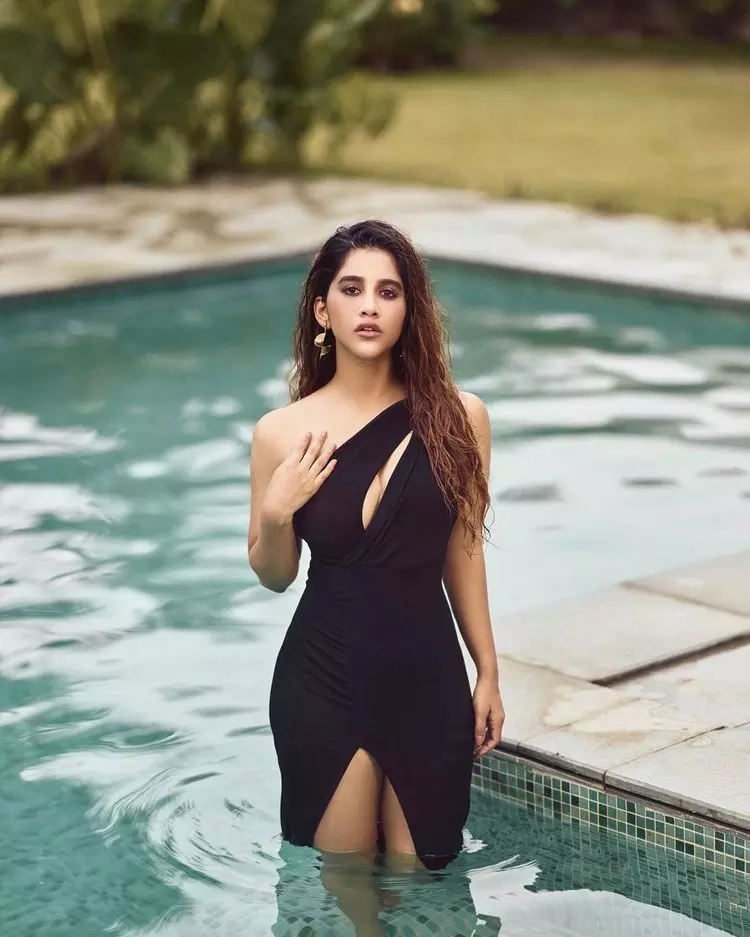 Nabha Natesh looks gorgeous in saree