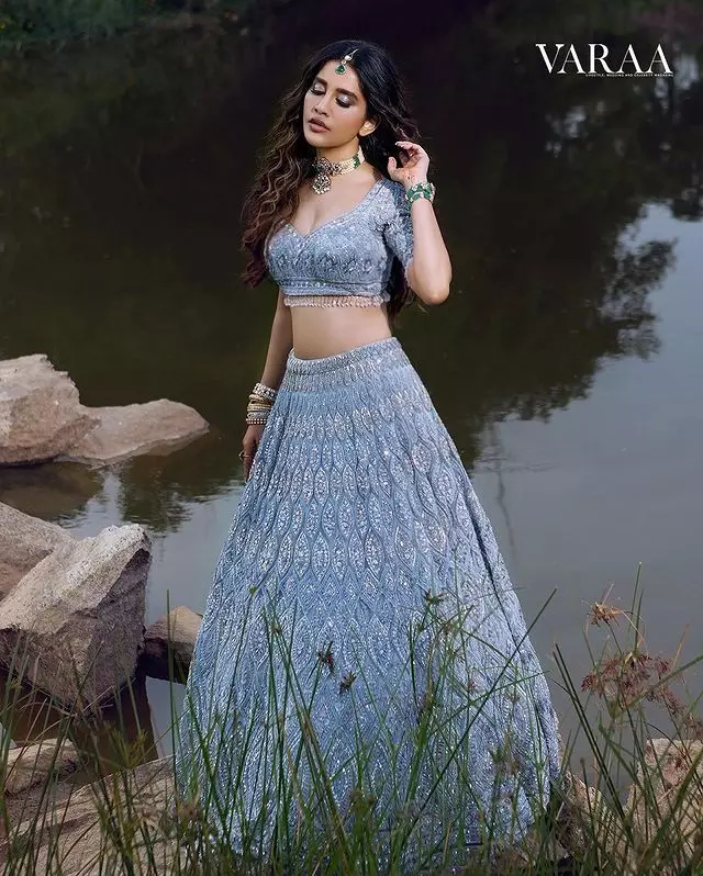 Nabha Natesh looks gorgeous in saree Nabha Natesh looks gorgeous in saree