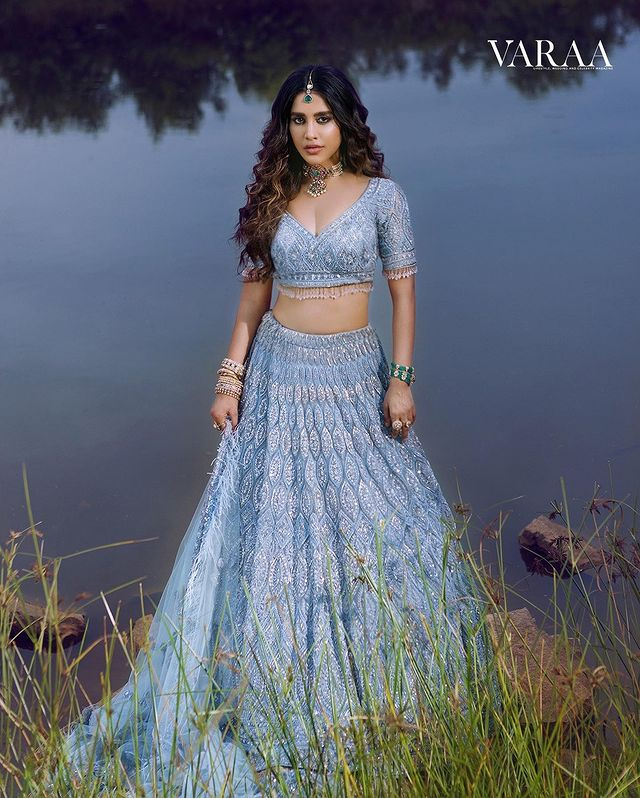 Nabha Natesh looks gorgeous in saree Nabha Natesh looks gorgeous in saree