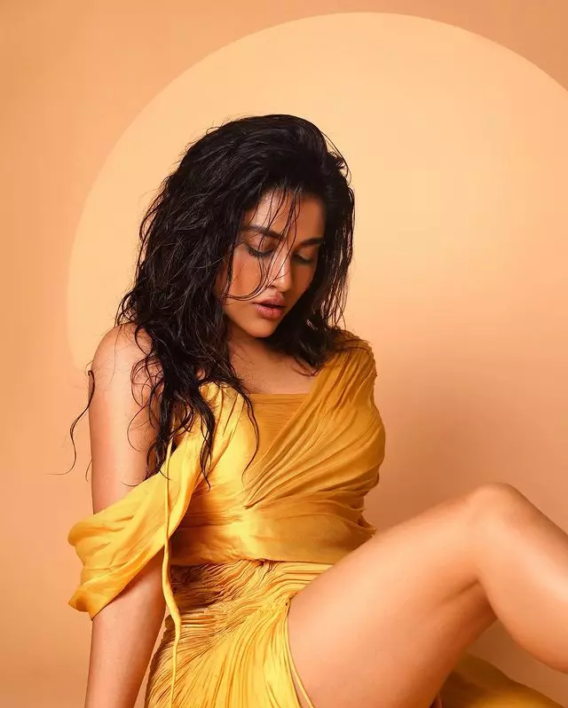 Nabha Natesh looks gorgeous in saree