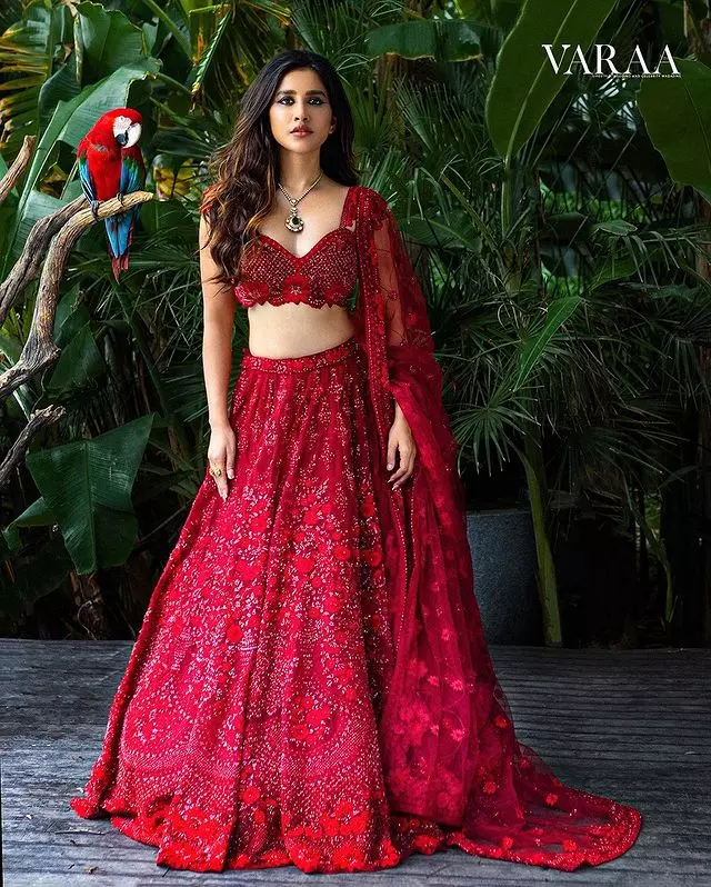 Nabha Natesh looks gorgeous in saree