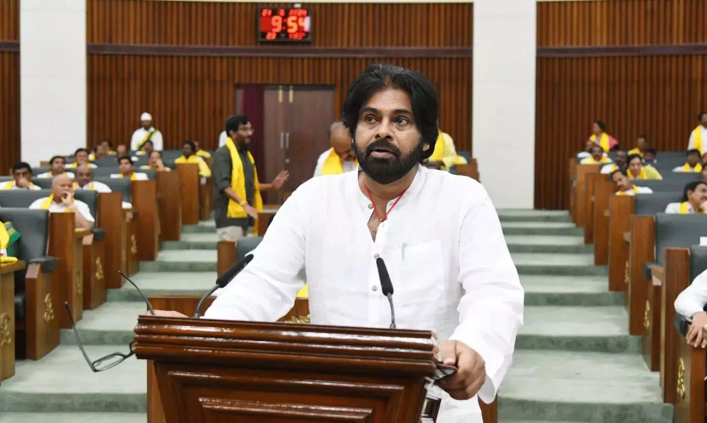 బడ్జెట్ లో సింహ భాగం నిధులు పవన్ కే !