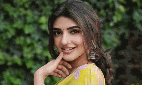 హద్దులు చెరిపేయాలి... పుష్ప 2 కోసమేనా?