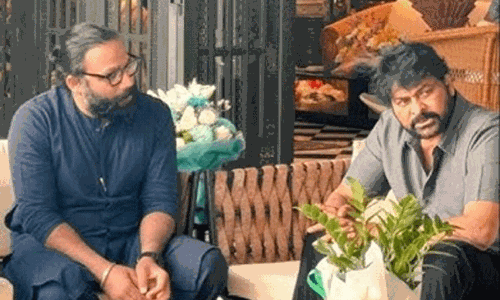 మెగాస్టార్‌ యానిమల్‌ ఎప్పుడు భయ్యా?