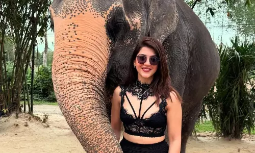 మెహరీన్… ఎన్నాళ్ళకి మళ్ళీ ఇలా..